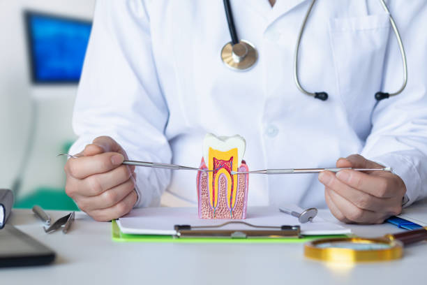 Best Emergency Dental Care for Trauma or Injury in Ardmore, TN